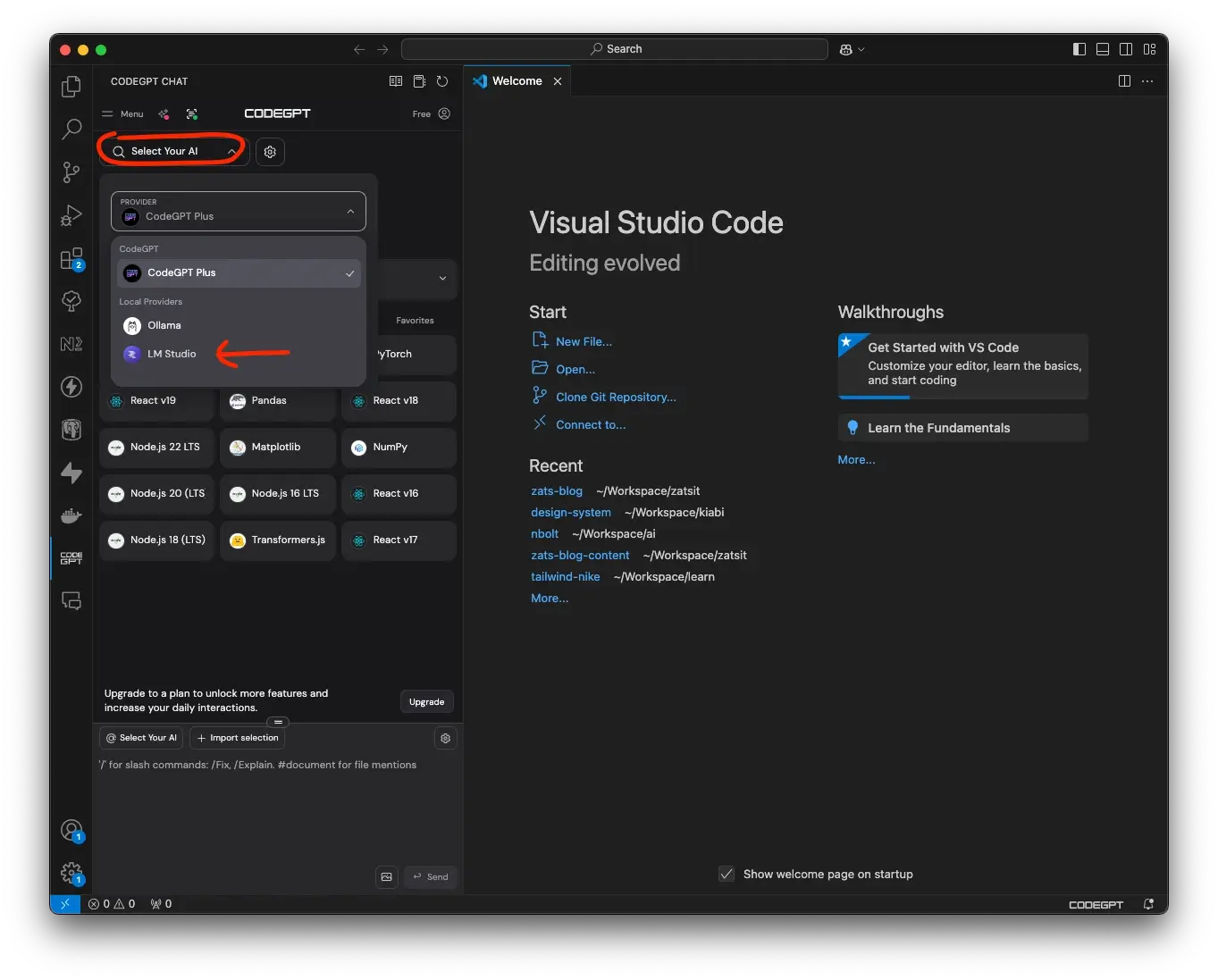 VSCode - Configurer le serveur local de LM Studio dans CodeGPT